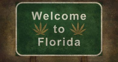 Florida Inching Closer to Legalize Recreational Marijuana Vote | FL Voting