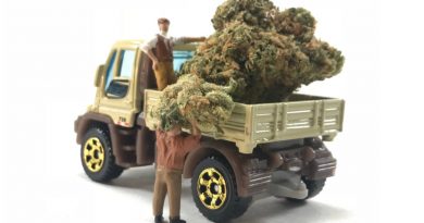 California Company Launches Same-Day Marijuana Delivery Service