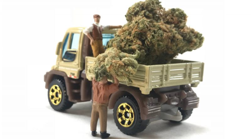 California Company Launches Same-Day Marijuana Delivery Service