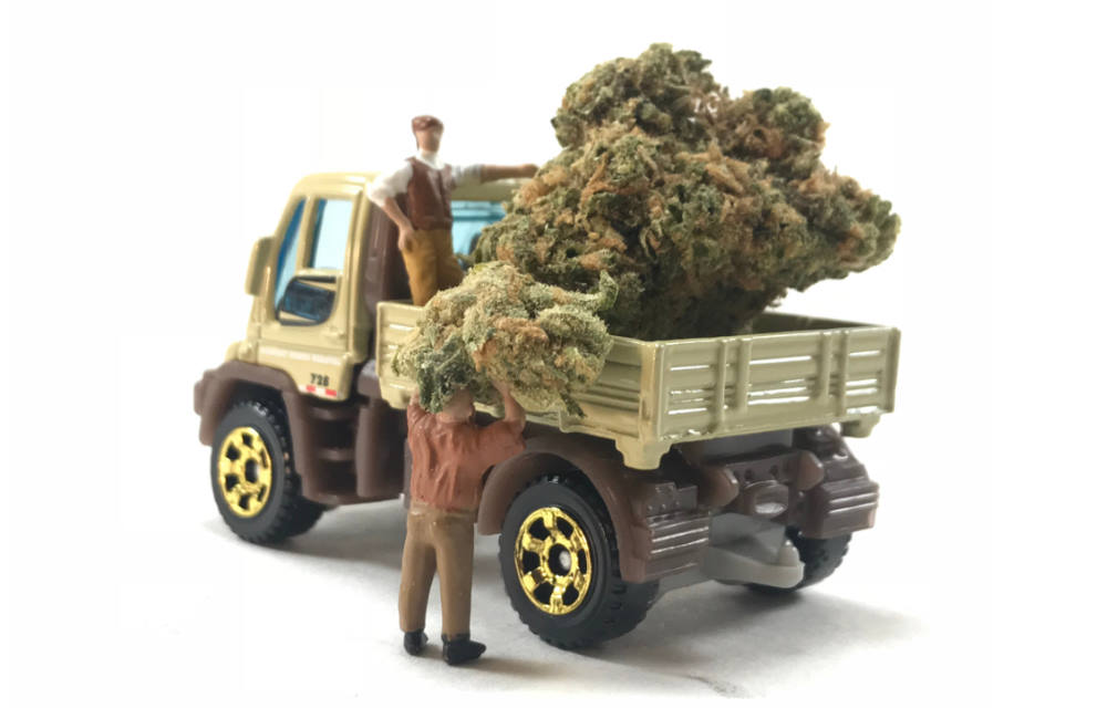 California Company Launches Same-Day Marijuana Delivery Service