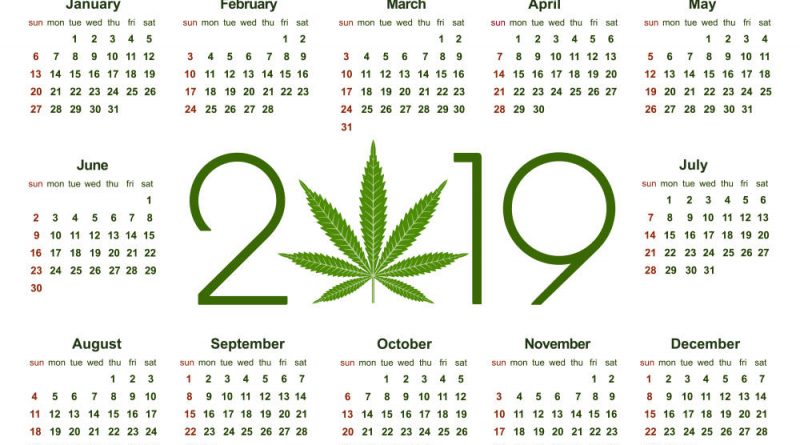 Where Things Stand With Marijuana Legalization 2019 | Legal Weed