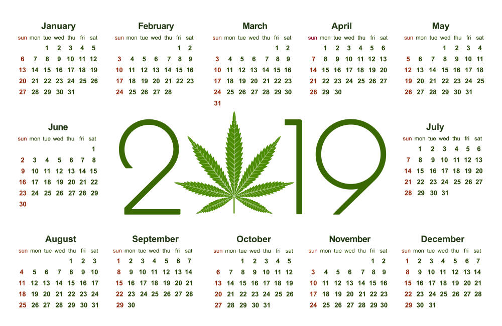 Where Things Stand With Marijuana Legalization 2019 | Legal Weed