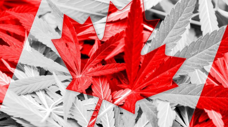 Canada To Roll Out Second Wave of Legal Cannabis Products | CA Pot