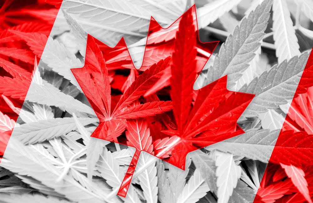 Canada To Roll Out Second Wave of Legal Cannabis Products | CA Pot