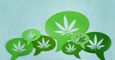 Report Focuses On Banner Year For Cannabis in 2019 | Cannabis Trends