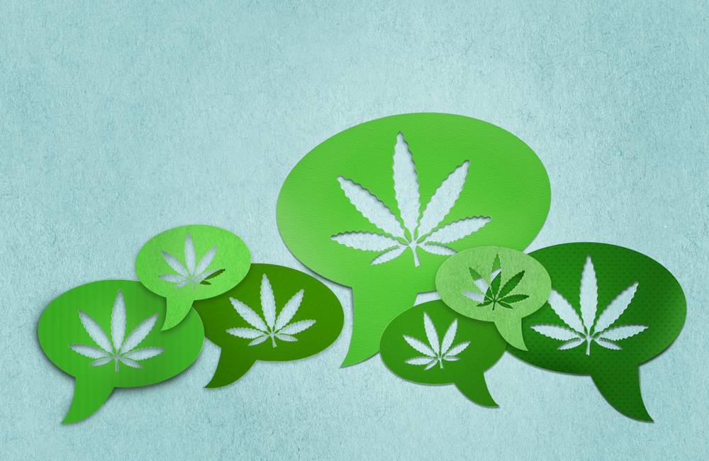 Report Focuses On Banner Year For Cannabis in 2019 | Cannabis Trends