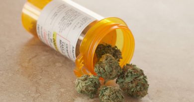 Another Study Shows Where There’s Marijuana, There Are Less Opioids