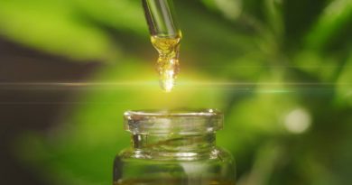Things To Look For When Shopping For CBD | CBD Produc FAQs