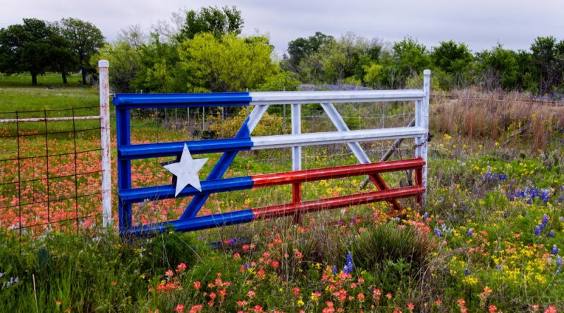 If You Want Legal Marijuana in Texas, You Are Far From Alone