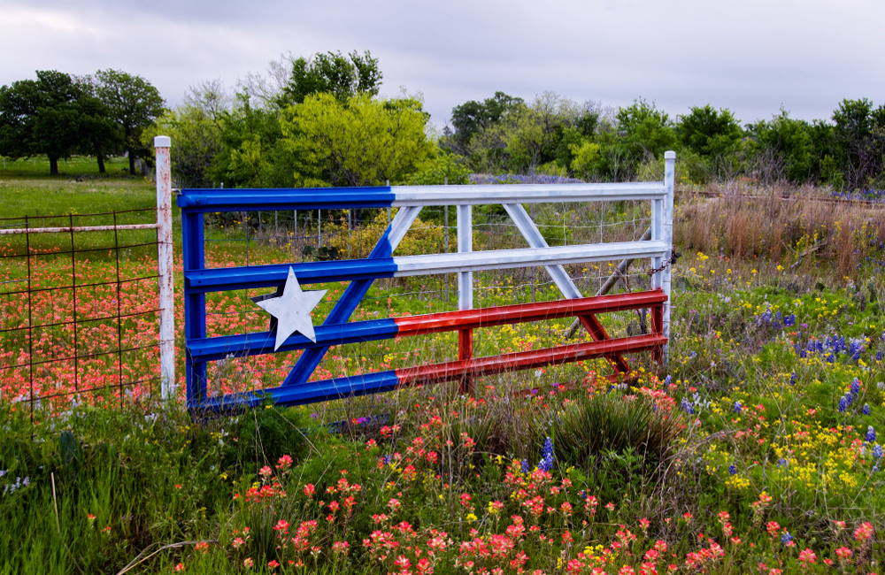 If You Want Legal Marijuana in Texas, You Are Far From Alone