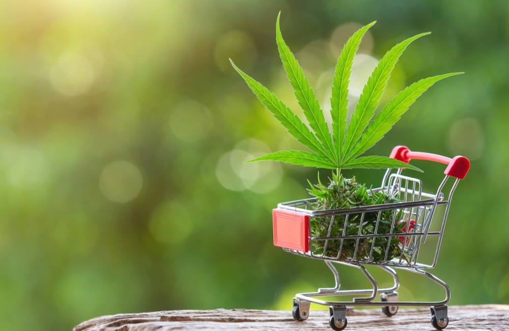 How to Choose Your First Dispensary | Dispensary Considerations