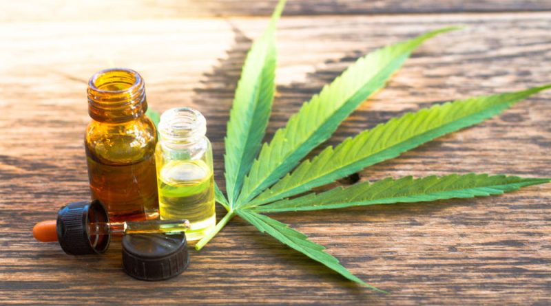 British Girl’s Miraculous Recovery Credited to Cannabis Oil Product