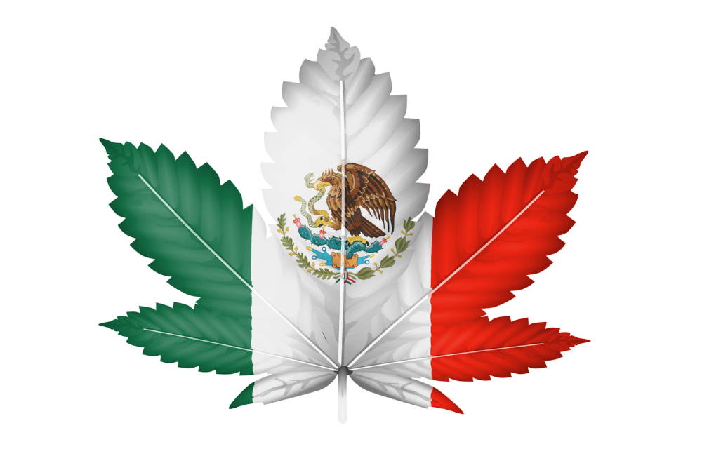 Legal Marijuana in Mexico Expected to Happen in Early 2021