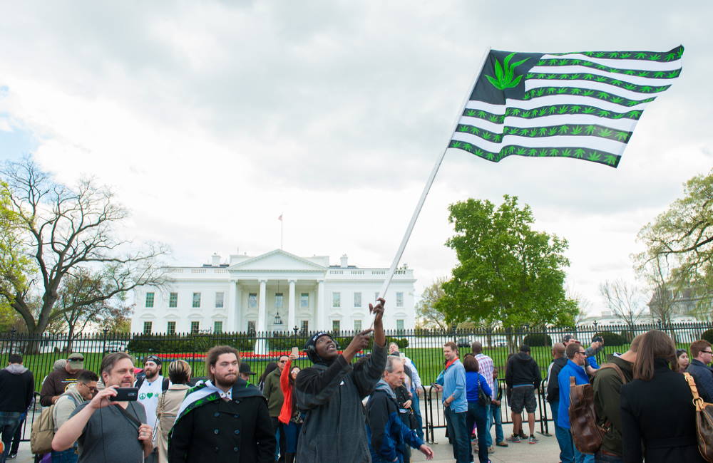 What States Will Legalize Marijuana in 2021? | NY, CT, PA, NM, VA, TX