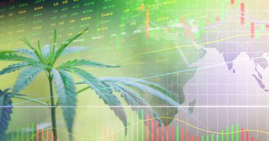 Marijuana Trends 2021: 8 Trends to Watch For In The New Year