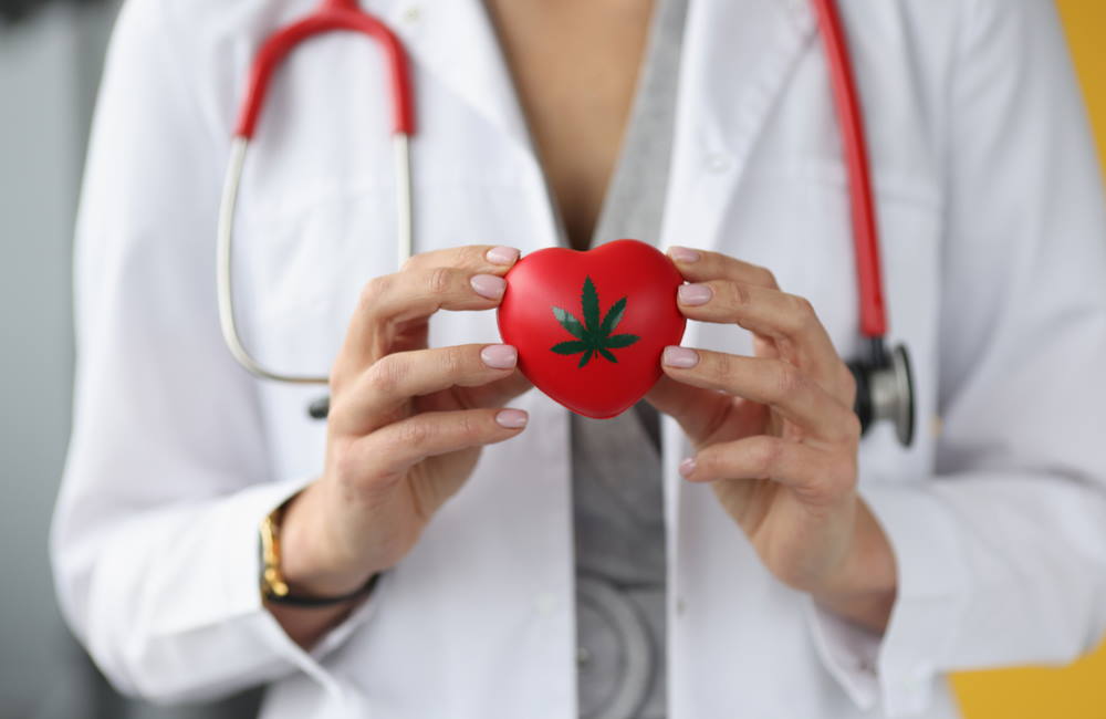 Marijuana Use Not Associated With Increased Risk of Heart Disease