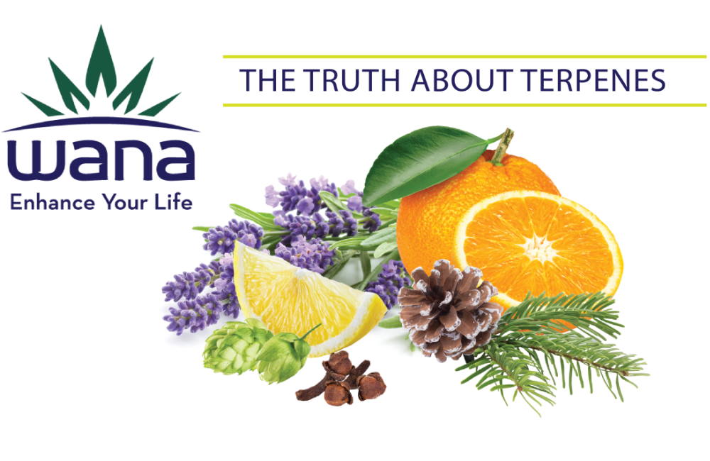 Wana Brands Takes Terpene Innovation to a New Level | Gummies