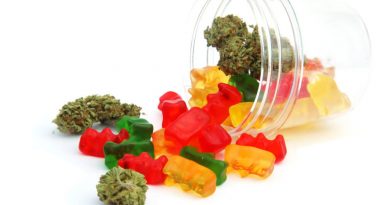 Cannabis Edible Sales Jump As People Enjoy Cannabis in Alternate Ways