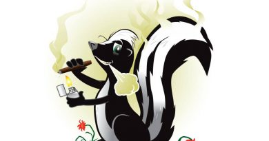 Why Does Skunk Weed Smell That Way? | Marijuana Terpenes vs Thiols