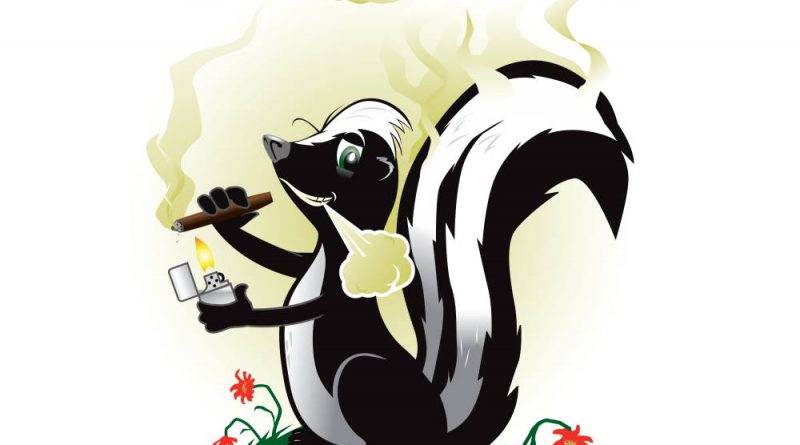 Why Does Skunk Weed Smell That Way? | Marijuana Terpenes vs Thiols