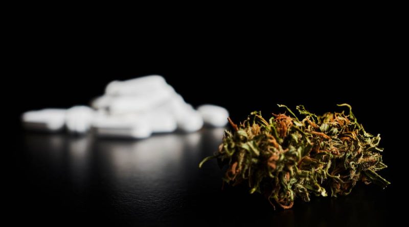 People Use Fewer Opioids Where Marijuana Is Legal, New Study Finds