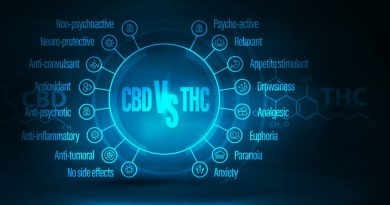 Cannabis 101: What Are The Differences Between CBD and Marijuana?