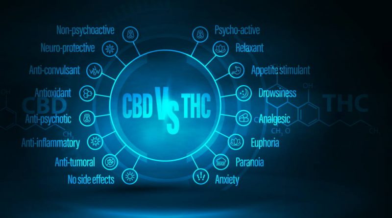 Cannabis 101: What Are The Differences Between CBD and Marijuana?