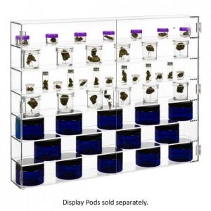 Dispensary Store Layout Tips