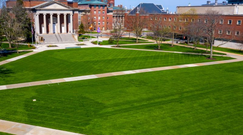 Syracuse University Joins List of Schools Offering Cannabis Courses