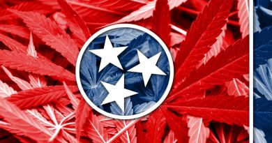 Republican Wants to Test Support For Marijuana Legalization in Tennessee