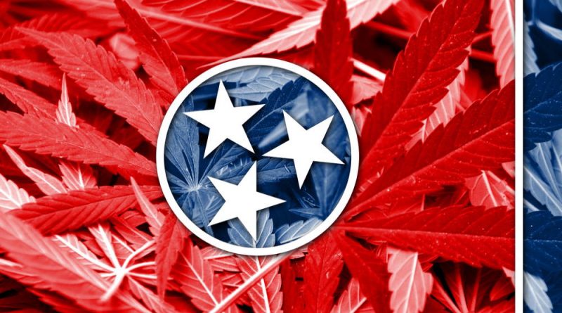 Republican Wants to Test Support For Marijuana Legalization in Tennessee