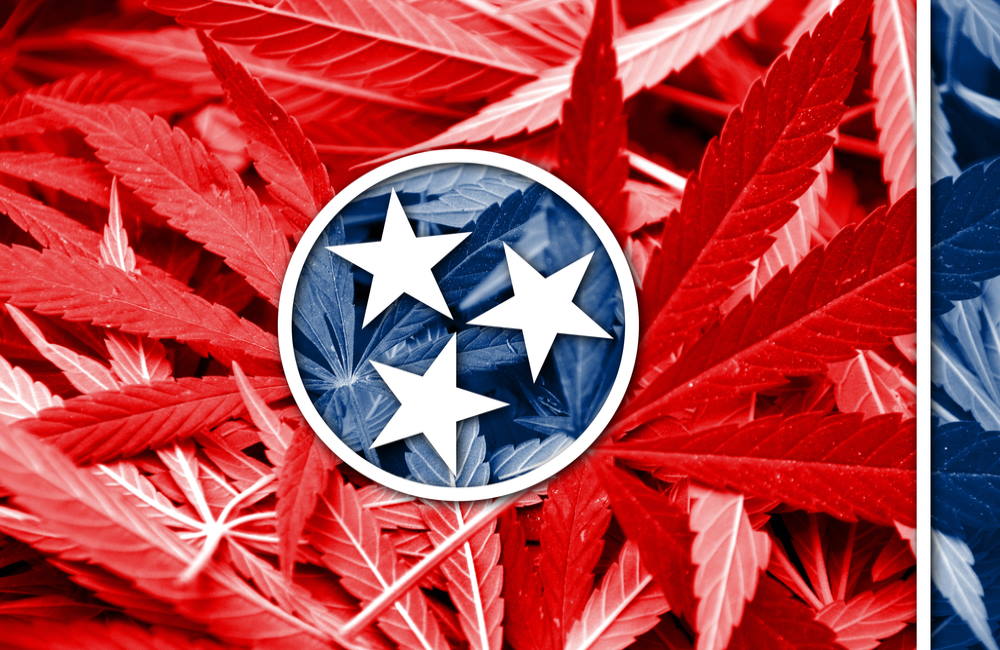 Republican Wants to Test Support For Marijuana Legalization in Tennessee