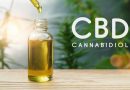 Can CBD Improve Cognitive Function?
