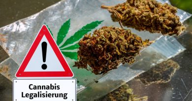 Germany Gets Closer to Legalizing Cannabis Nationwide