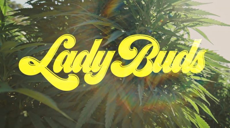 Documentary “Lady Buds” Gets Two Spinoffs | Seniors and Cannabis