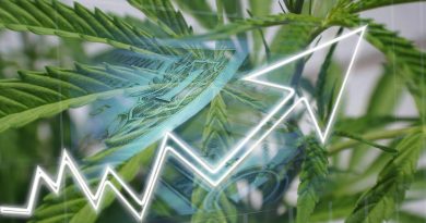 Cannabis Sales Expected to Hit $33 Billion in 2022 | Cannabis Job Growth
