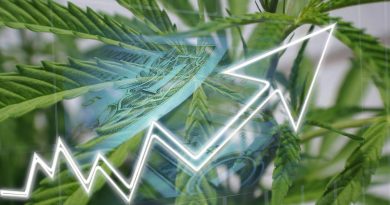 Cannabis Sales Expected to Hit $33 Billion in 2022 | Cannabis Job Growth