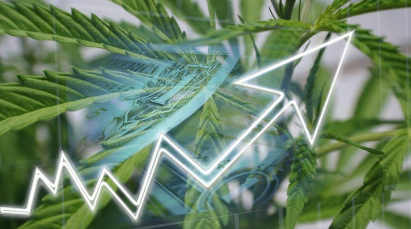 Cannabis Sales Expected to Hit $33 Billion in 2022 | Cannabis Job Growth