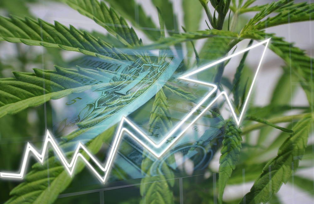 Cannabis Sales Expected to Hit $33 Billion in 2022 | Cannabis Job Growth