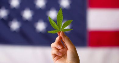 U.S. House Passes Federal Marijuana Decriminalization Bill