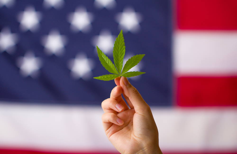 U.S. House Passes Federal Marijuana Decriminalization Bill