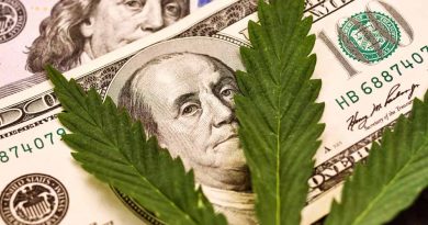 Why Do You Have to Use Cash to Buy Marijuana at Dispensaries