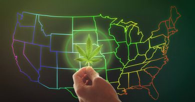 The 20 Best Weed Cities in the U.S. | Cities for Cannabis Consumers