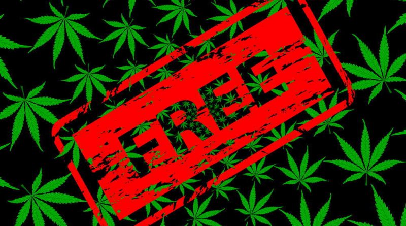 In California, Free Weed Available for Medical Marijuana Patients