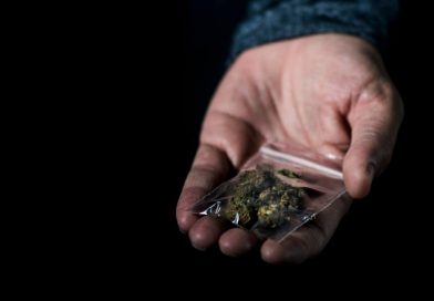 Legal Marijuana in Maine Reducing Sales of Black Market Weed
