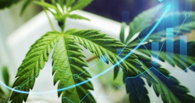 Michigan Marijuana Sales Continue to Skyrocket | MI Marijuana Industry