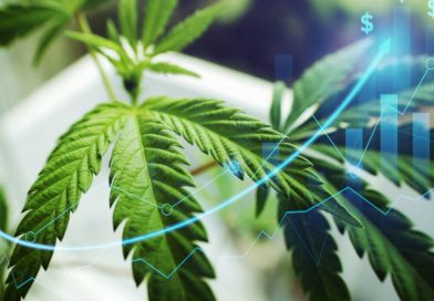 Michigan Marijuana Sales Continue to Skyrocket