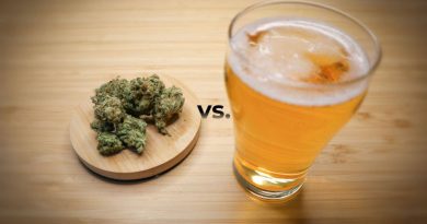 Cannabis Is Better Than Alcohol