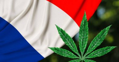 Cannabis legalization in France