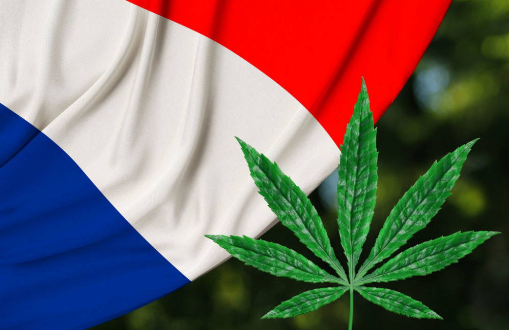 Cannabis legalization in France